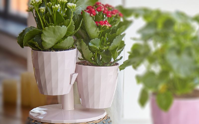 گلدان پلاستیکی در اهواز که موجب افزایش رشد گیاهان می شود